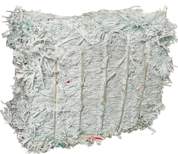 shredded paper